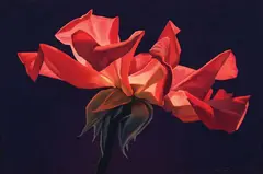 Red Rose by Ed Mell, Oil on linen, sold Apr 2026