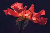 Ed Mell, Red Rose, Oil on linen