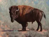 Tucker Smith, Young Bull, Oil on canvas