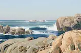 Wilson Hurley, Point Lobos, Oil on board