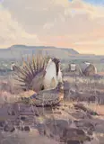 James Morgan, Sage Grouse, Oil on canvas