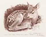 Bob Kuhn, Fawn, Conte