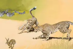 Mark Eberhard, Cheetahs Hunting, Oil on canvas