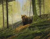 Nicholas Coleman, Into the Northwest, Oil on board