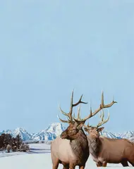 Mark Eberhard, Teton Winter Morning, Oil on board