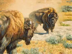 Brandon Bailey, Hayden At High Noon, Oil on canvas