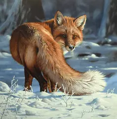 Steve Burgess, Snow Patrol, Oil on board