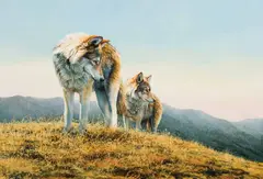 Bonnie Marris, High Country Retreat, Oil on board