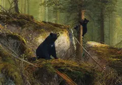 Michael Coleman, The Adventurer, Black Bears, Oil on board