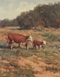 Bill Owen, Hereford Cows, Oil on canvas