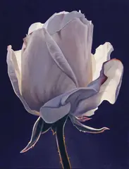 Silver Rose Bud by Ed Mell, Oil on linen, sold Apr 2026