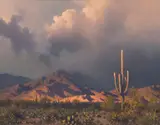 Michael Stack, Before an Evening Rain, Oil on canvas