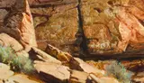 Buck McCain, Cave Drawings, Oil on board