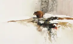 Morten Solberg, Brown Bear, Watercolor