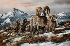 Trevor Swanson, Untitled (Big Horn Sheep), Oil on canvas