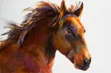 Linda St. Clair, I Ride a Dark Horse, Oil on canvas