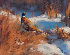 Eldridge Hardie, Rooster Ringneck, Oil on board