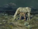 James Reynolds, Six Hours Old, Oil on board