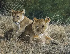 Jan McGuire, Big Brother, Acrylic on board