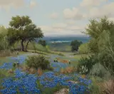 Porfirio Salinas, Blue Bonnets (Spring)
