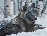 Bonnie Marris, Untitled (Wolf), Oil on board
