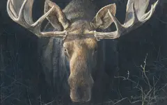 Robert Bateman, Moose, Oil on board