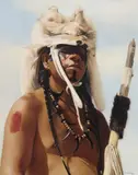 Don Crowley, White Fox, Oil on board