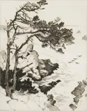 Gene Kloss, Pines and Pelicans, Etching, edition 49/75