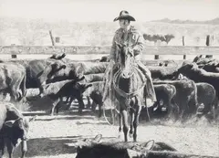 Robert Shufelt, Work'n Off ol' Buzzard, Graphite