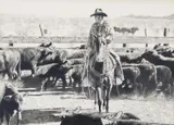 Robert Shufelt, Work'n Off ol' Buzzard, Graphite