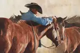 Tom Dorr, Untitled (Cowboy and horses), Oil on canvas