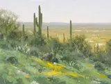 Matt Smith, Spring in the Foothills