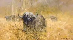 David Shepherd, Water Buffalo in Tall Grass, Oil on canvas
