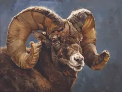 Luke Frazier, Zeus, Oil on board