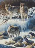 Bonnie Marris, The Raven's Way, Oil on canvas