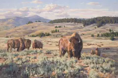 Brian Grimm, Roam Free, Oil on board