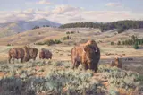 Brian Grimm, Roam Free, Oil on board