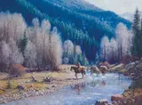 Martin Grelle, Heading to the High Country