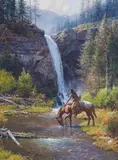 Martin Grelle, Peaceful Morn