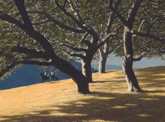 Robert Rishell, Through the Grove, Oil on canvas