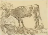 Maynard Dixon, Sonoran Steer, Arizona