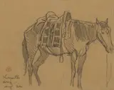Maynard Dixon, Saddled Navajo Pony, Graphite