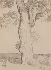 Lone Cottonwood by Maynard Dixon, Graphite, sold Apr 2025