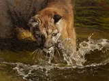 Greg Beecham, A Closer Look, oil on linen