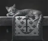 Mary Ross Buchholz, Satisfied, charcoal and graphite