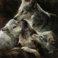 Bonnie Marris, Wolves Being Wolves, oil on linen