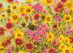 Helen Hunter, Spring Close-Up, oil on canvas