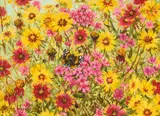 Helen Hunter, Spring Close-Up, oil on canvas