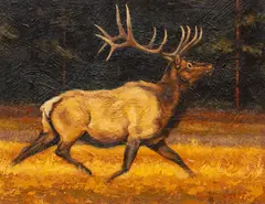 Greg Wilson, Bull Elk, oil on masonite