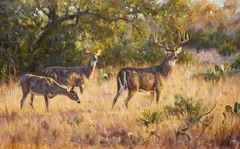 Brian Grimm, Gillespie Gold, oil